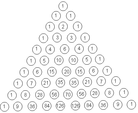 An image of the Pascal's triangle. Starting with one circle on top with 1. Two circles under with two 1. Three circles below with 121. etc...